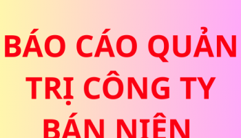 Báo cáo quản trị công ty bán niên năm  2024