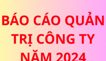 Báo cáo quản trị công ty năm 2024