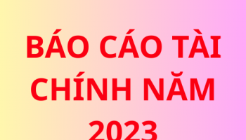 Báo cáo tài chính năm  2023