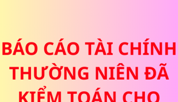 BÁO CÁO TÀI CHÍNH THƯỜNG NIÊN ĐÃ KIỂM TOÁN CHO NĂM 2024
