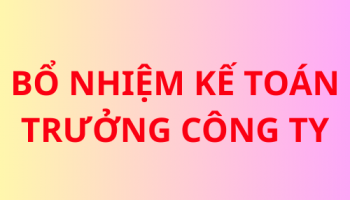 Bổ nhiệm kế toán trưởng công ty