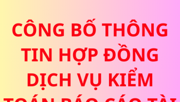 CÔNG BỐ THÔNG TIN HỢP ĐỒNG DỊCH VỤ KIỂM TOÁN BÁO CÁO TÀI CHÍNH NĂM 2025