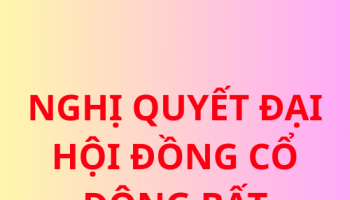 Nghị quyết Đại hội đồng cổ đông bất thường năm 2017