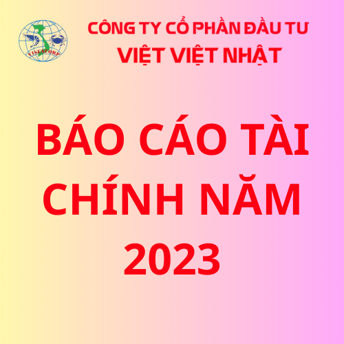 Báo cáo tài chính năm  2023