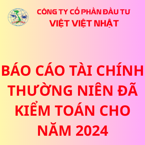 BÁO CÁO TÀI CHÍNH THƯỜNG NIÊN ĐÃ KIỂM TOÁN CHO NĂM 2024