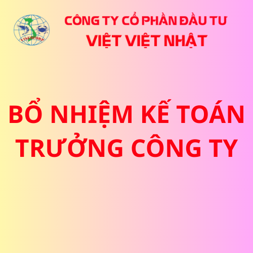 Bổ nhiệm kế toán trưởng công ty